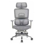 Ghế công thái học TT668D